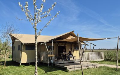 Nieuw campingreglement 2025